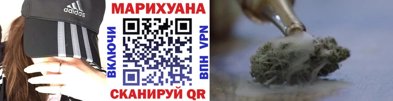 Конопля план  Купить закладки  Гатчина 